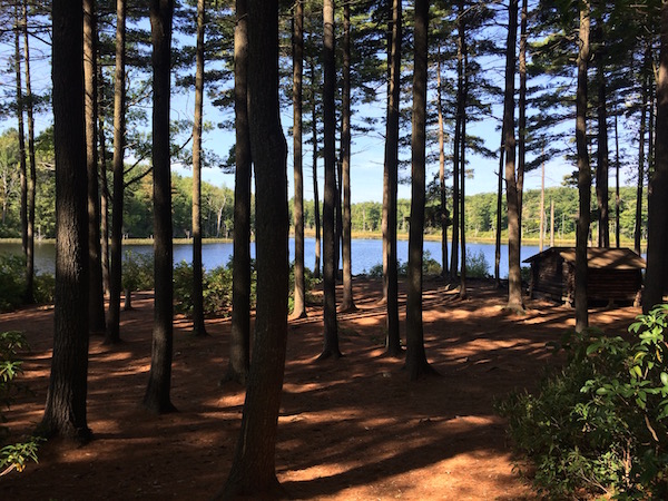 Muddy Pond, on the Midstate Trail