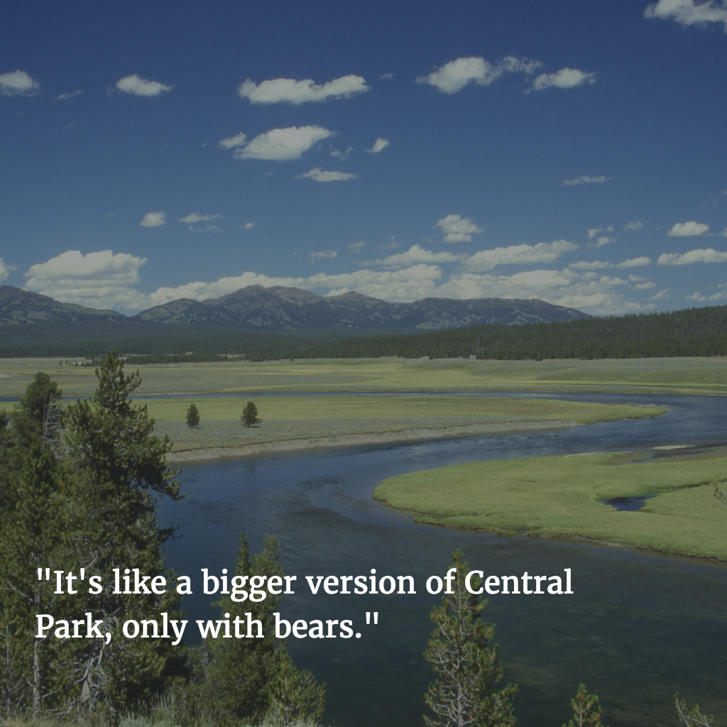 "It's like a bigger version of Central Park, only with bears."