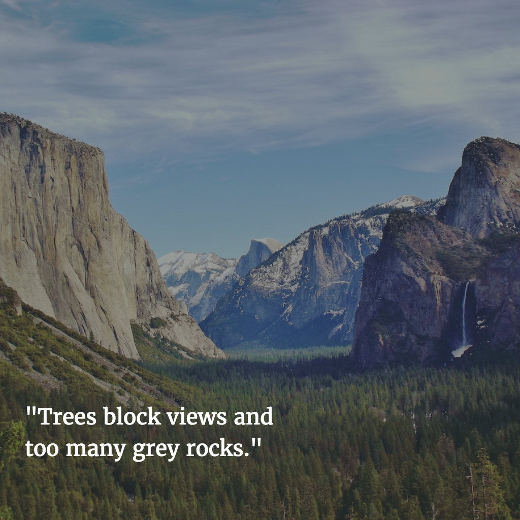 "Trees block views and too many grey rocks."